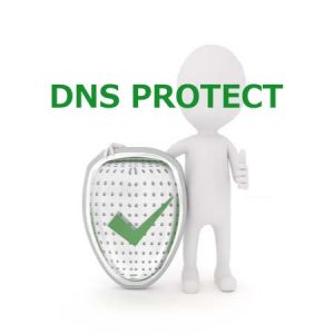 DNS保護