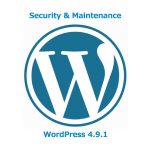 Security & Maintenance WordPress 4.9.1