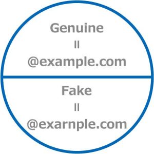 本物のドメインと偽物のドメイン