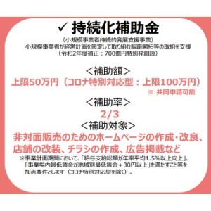 持続化補助金